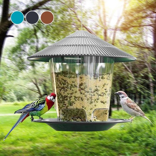 Hanging wild bird feeder - wild,