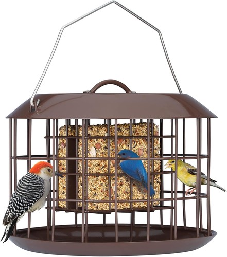 Kingsyard squirrel proof suet - proof,