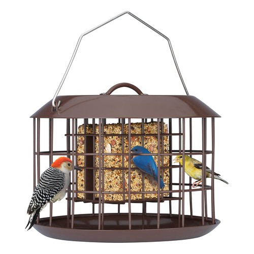 Kingsyard squirrel proof suet - squirrel,