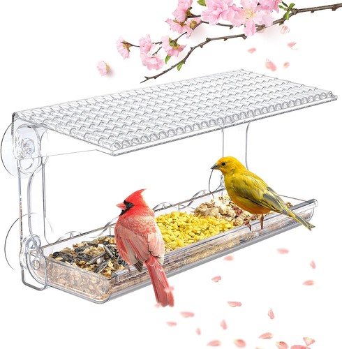 Window bird feeder for - bird,