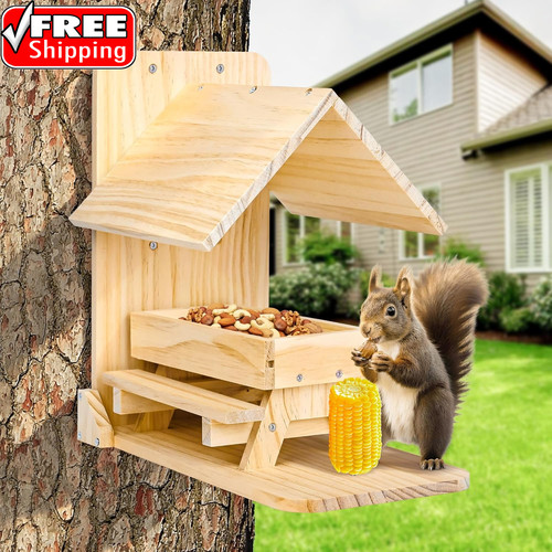 Squirrel feeders for outside - feeders,