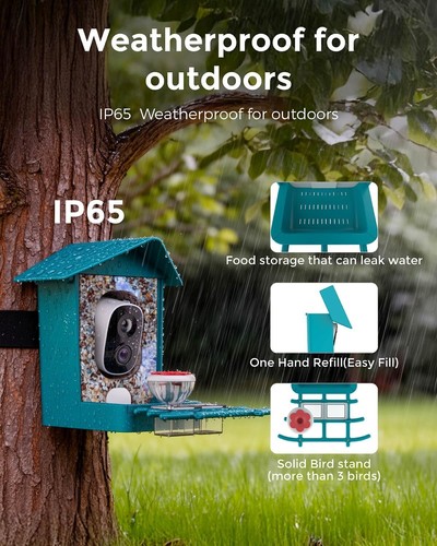Smart bird feeder with camera - feeder,