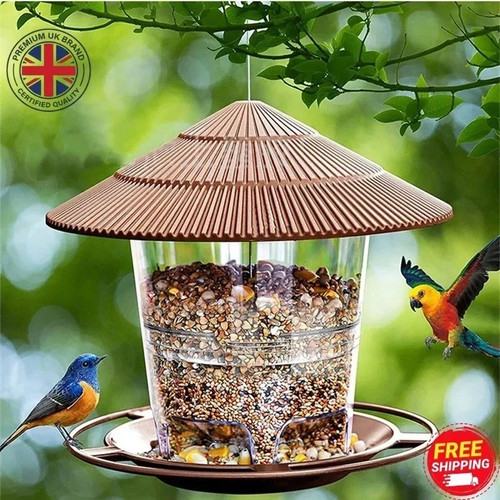 Hanging wild bird feeder - bird,