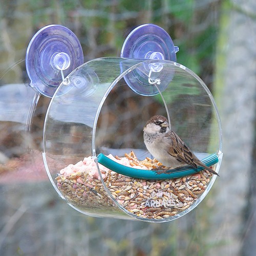 Glass window circular perspex - window,