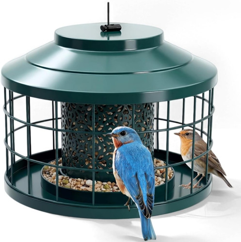 Outdoor hanging metal - metal, bird