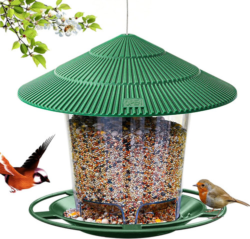 Bird feeder outdoor - bird, hanging