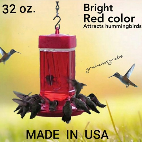 First nature hummingbird - first,