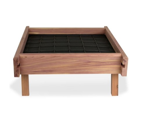 Pennington red cedar wild - cedar, bird
