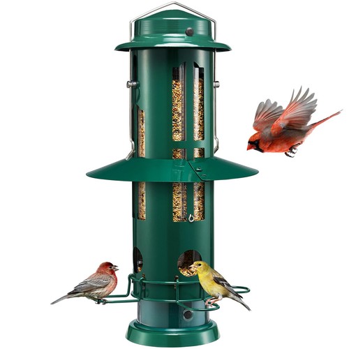 Squirrel proof bird - bird, feeders