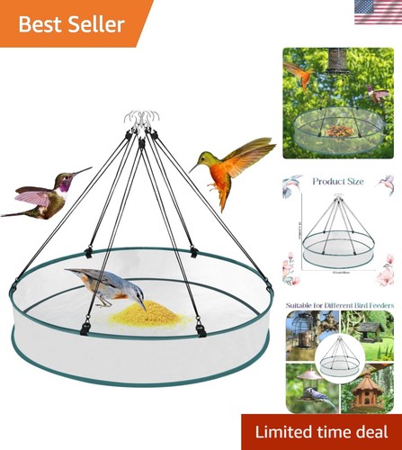 Elegant inch bird - bird, seed