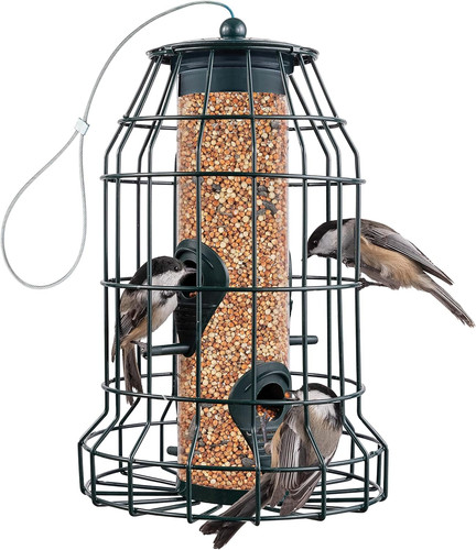 Squirrel resistant bird - resistant,