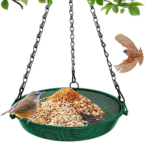 Hanging platform bird - bird, feeder