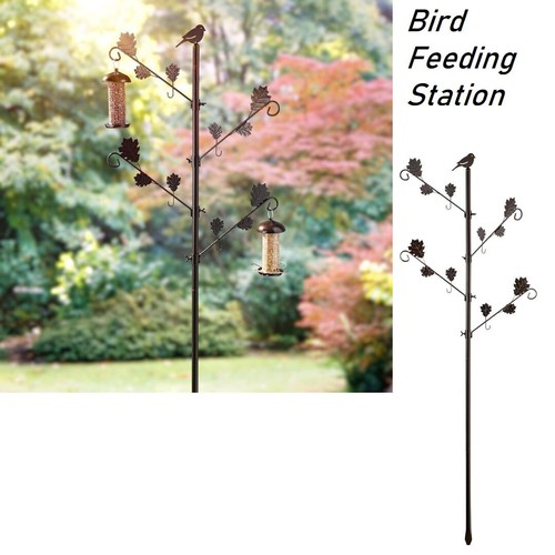 Bird feeders hanging - bird,