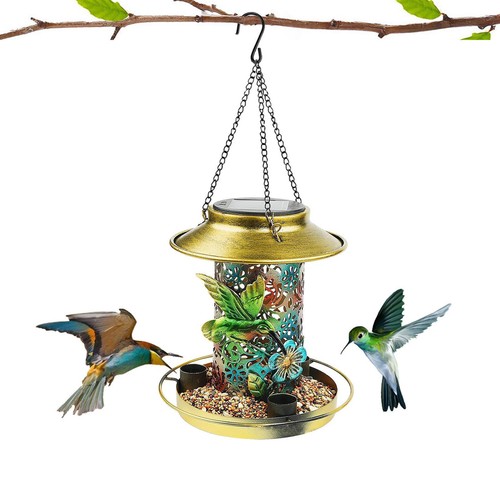 Solar bird feeder - bird,