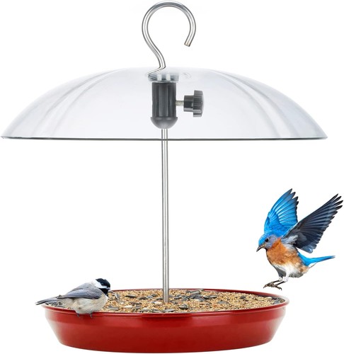 Red hanging platform - hanging, bird