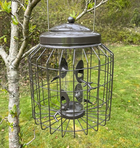 Squirrel proof hanging - proof,
