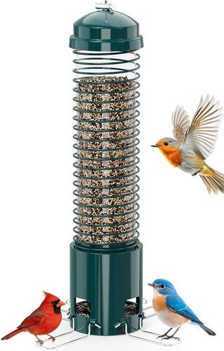 Squirrel proof bird - proof, feeder