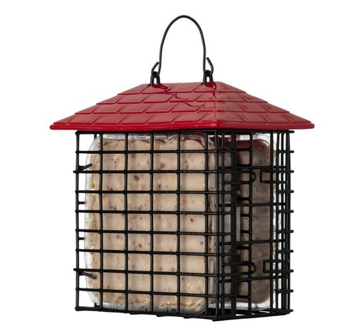 More birds double - double, suet