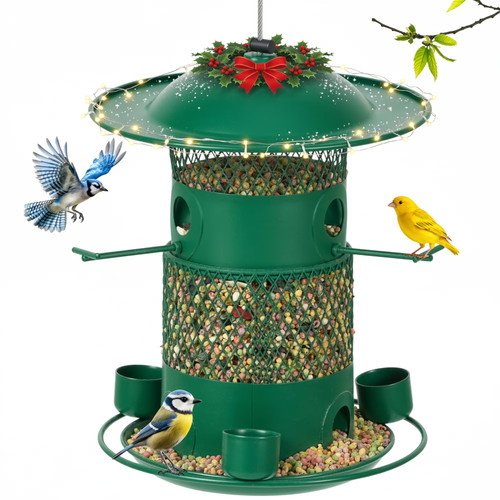 Wild bird feeder for - bird,