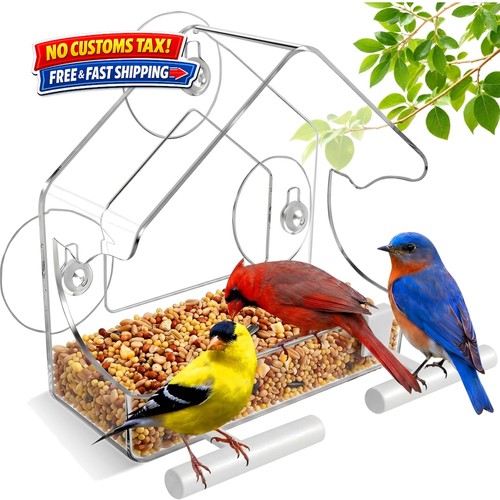 Window bird feeder - window, for