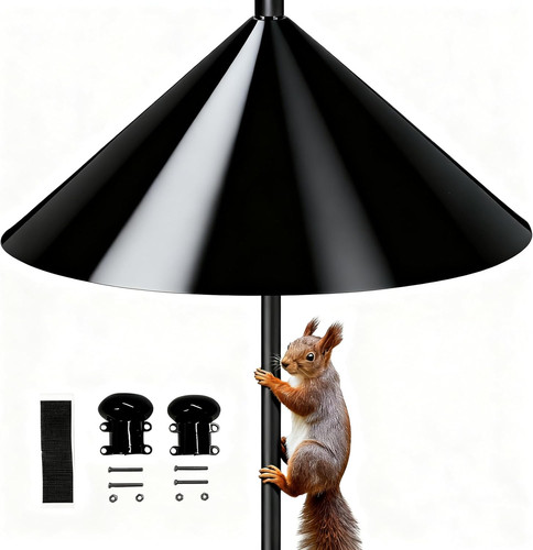 Squirrel baffle for - squirrel,