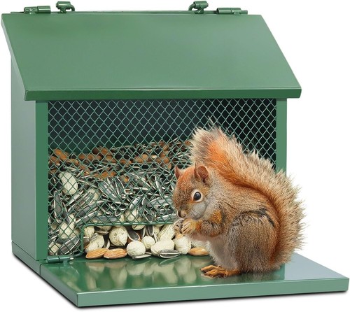 Metal squirrel feeder - squirrel,
