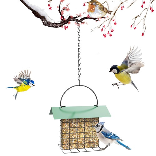 Bird feeder for - feeder,