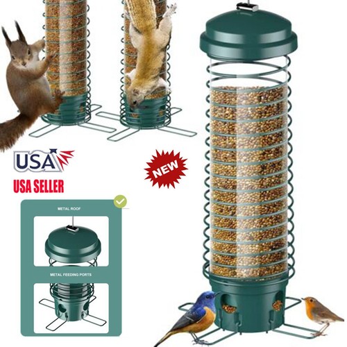 Squirrel proof wild bird - squirrel-proof,
