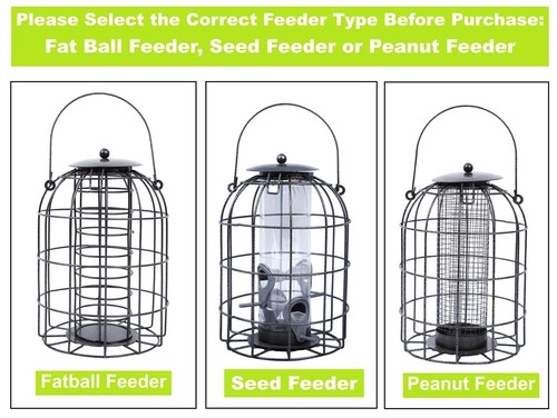Garden seed peanut - garden,