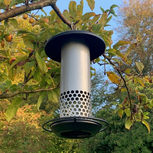 Hanging bird mealworm - mealworm, and