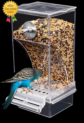 Bird parrot feeders - bird,