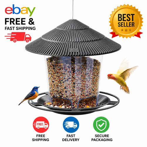 Round house bird - round,