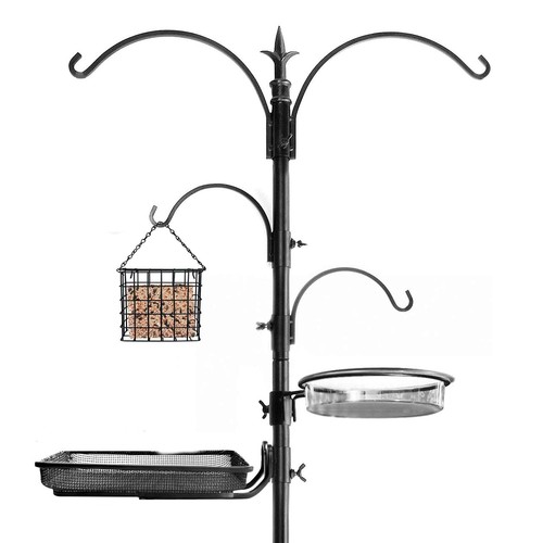 Bird feeding station - bird,
