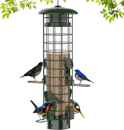 Squirrel proof bird - proof,
