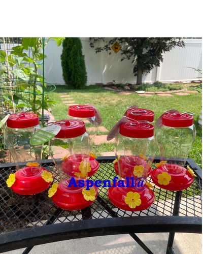 Value pack hummingbird - , 6