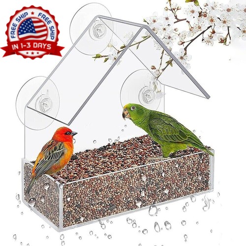 Clear bird feeder - clear, window