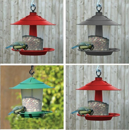 Hanging wild bird feeder seed - bird,