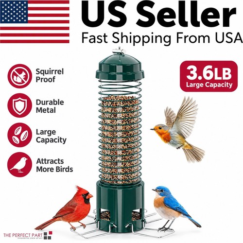 Squirrel proof bird feeder - squirrel,