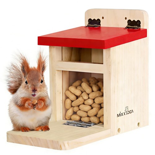 Squirrel feeders for outside - squirrel,