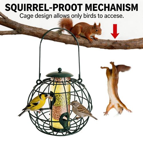 Port squirrel proof - 4, bird