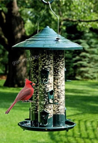 Woodlink triple tube bird seed - woodlink,