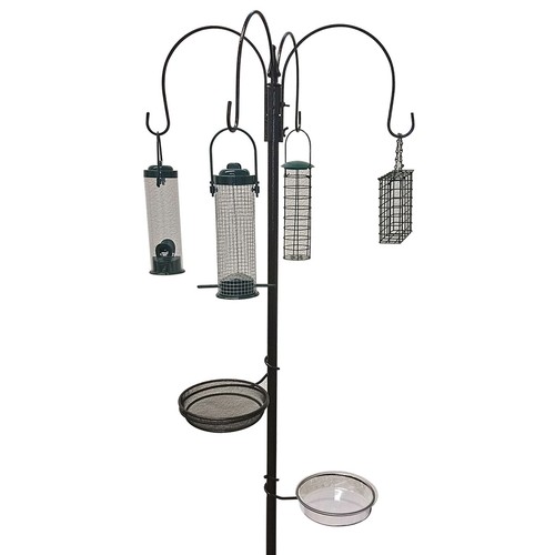 Wild bird feeding station - wild,
