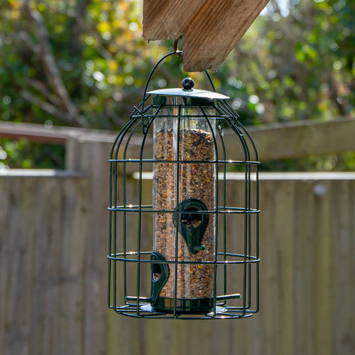 Squirrel proof hanging bird - squirrel,