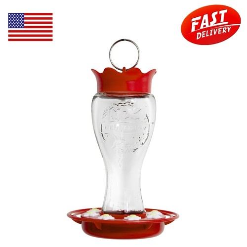 Pennington glass hummingbird - glass,