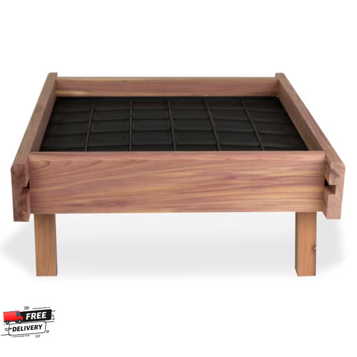 Pennington red cedar wild bird - red,