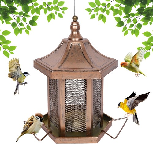 Metal bird feeder - bird, outdoors