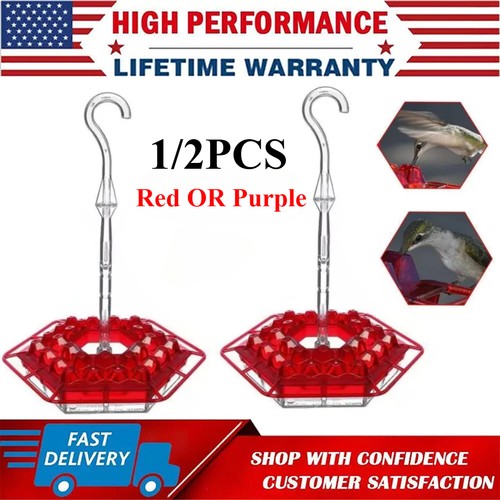 Shirem hummingbird feeder - hummingbird,