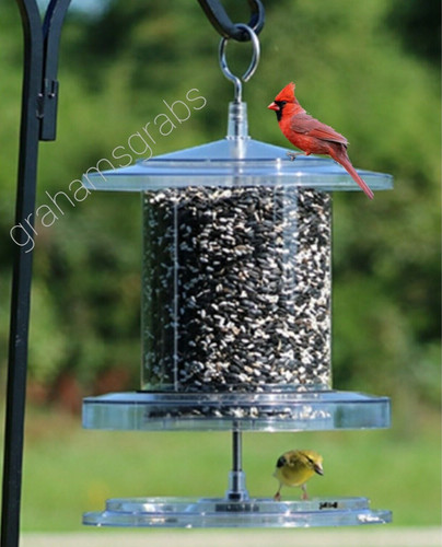 Songbird essentials all - songbird,
