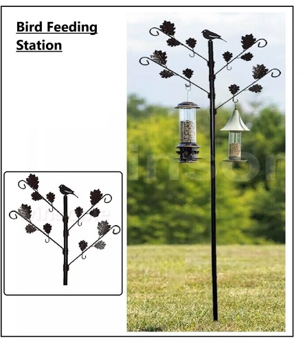 Bird feeders hanging - feeders, station