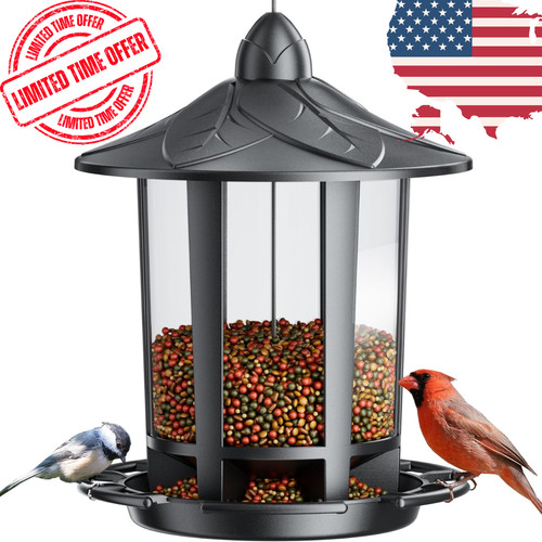 Birdream bird feeders for - feeders,